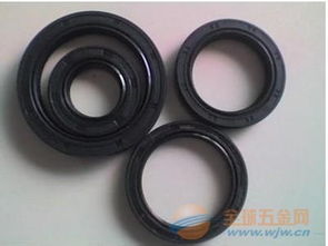 湖南優(yōu)質(zhì)日本NOK品牌TCZ型高壓氟膠油封銷售廠家與進(jìn)口油封服務(wù)