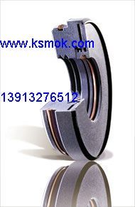 進(jìn)口聚氨酯產(chǎn)品骨架防塵封與油封的優(yōu)勢(shì)與應(yīng)用