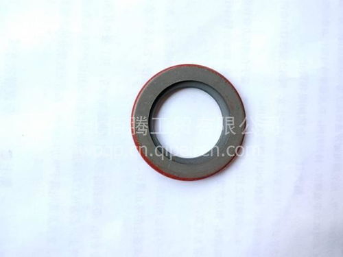 進(jìn)口油封水泵油封3003353 價(jià)格、圖片與配件廠家全解析